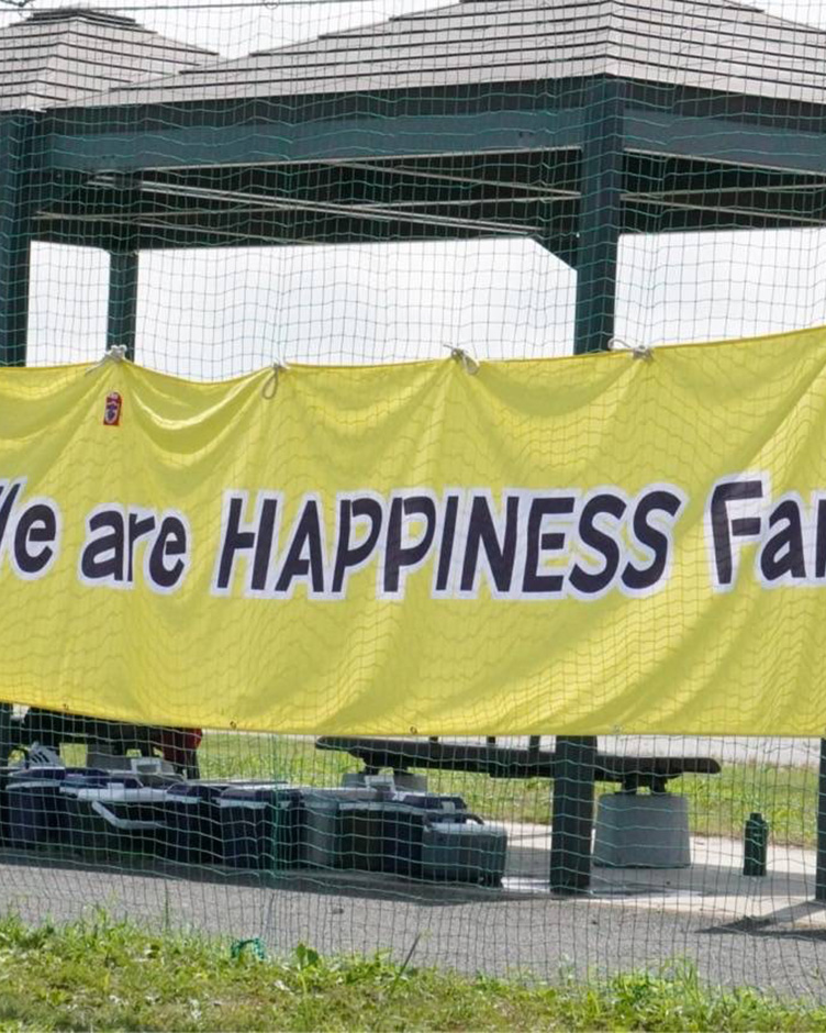HAPPINESS